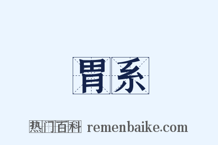 胃系是什么意思的图片